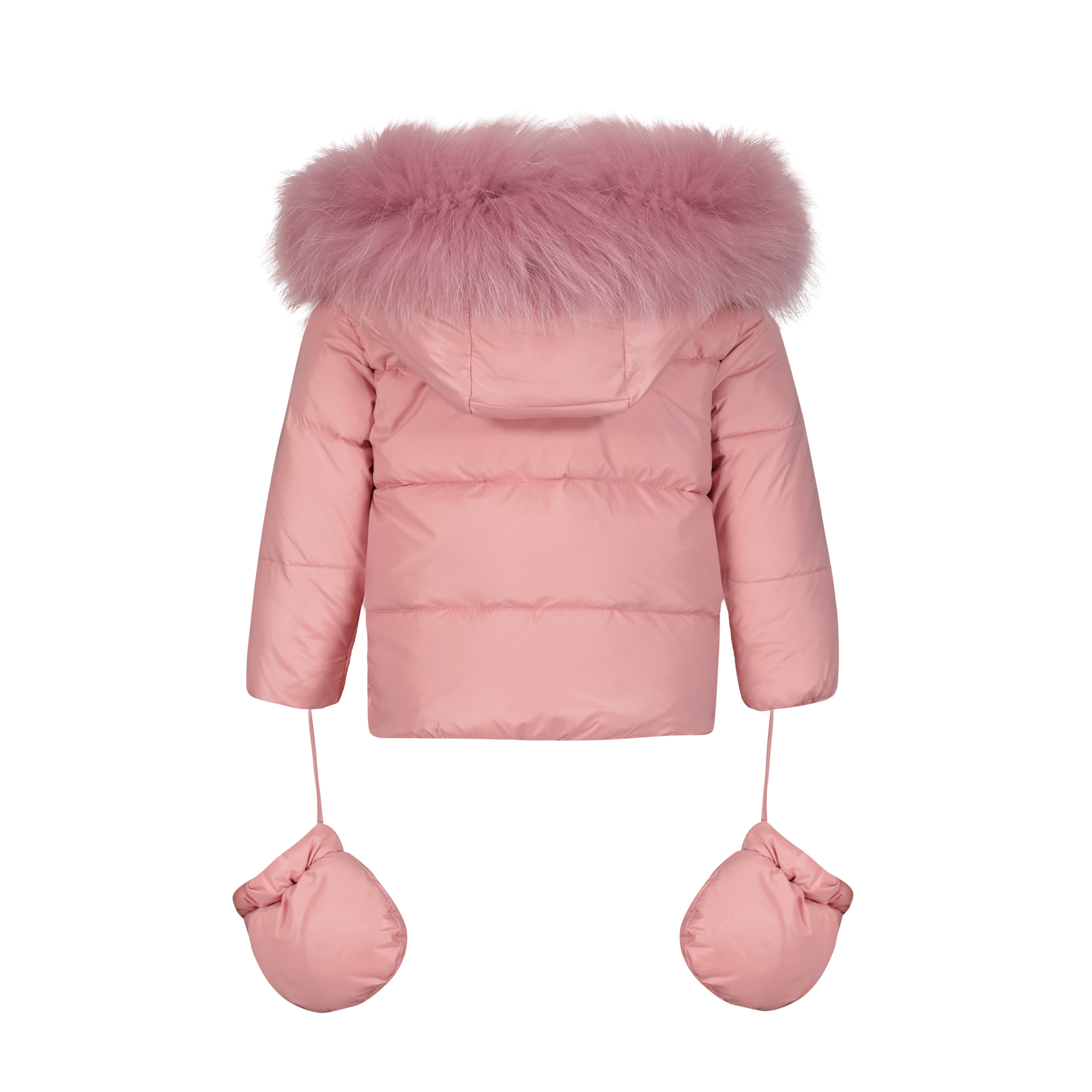 The Pink Poodle