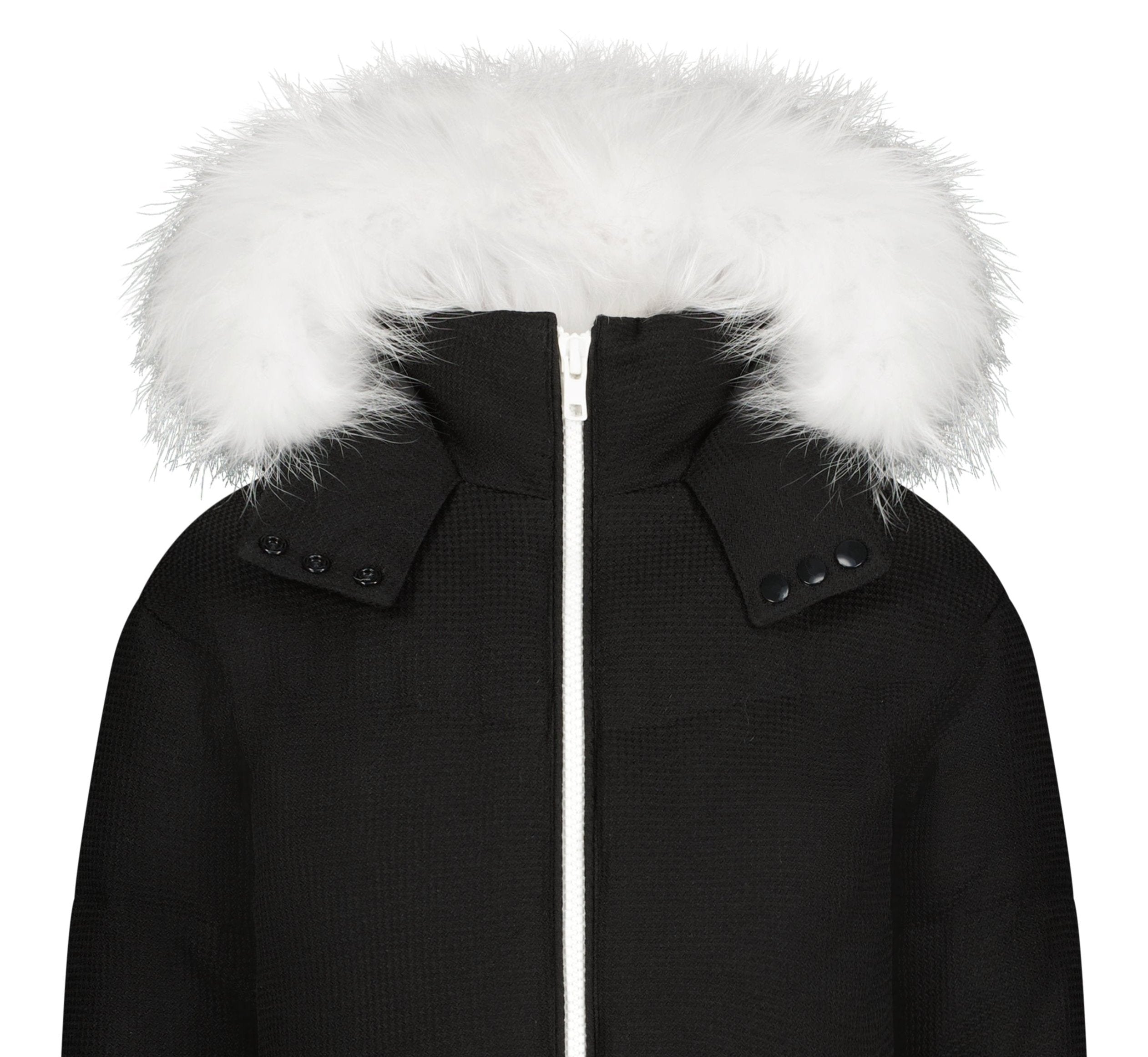 The Black and White Zoe